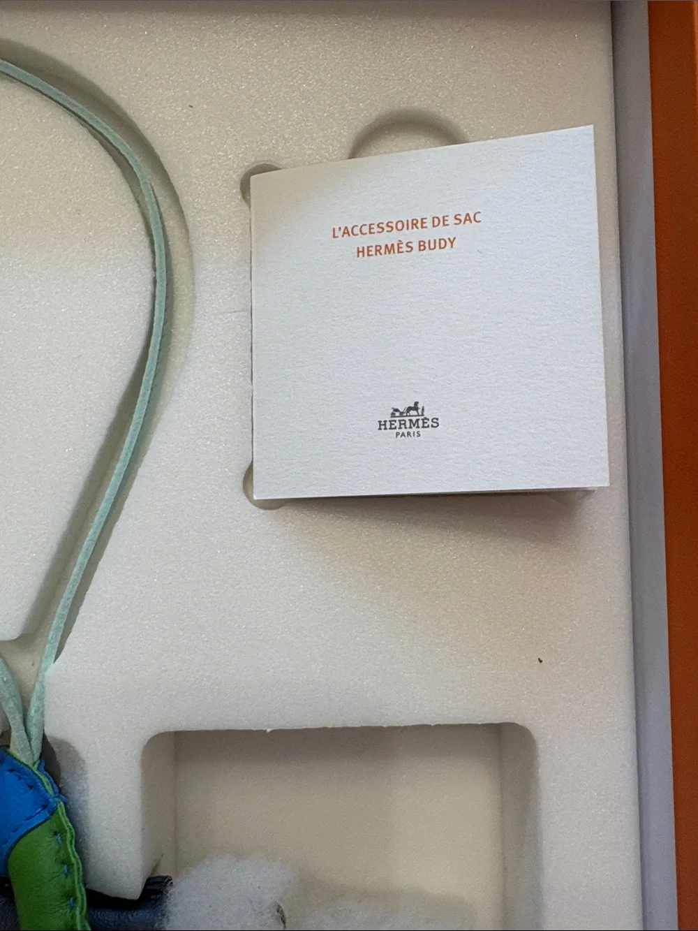 New Hermes Blue Green White Black budy dog Charm